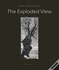 Capa do artigo The Exploded View