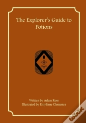 Capa do artigo The Explorer