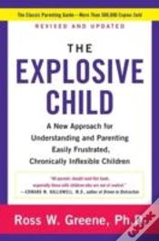 Capa do artigo The Explosive Child