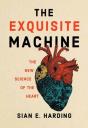 The Exquisite Machine - Preview