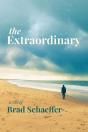 The Extraordinary - Preview