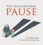 The Extraordinary Pause - Preview