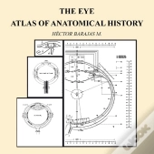 The Eye