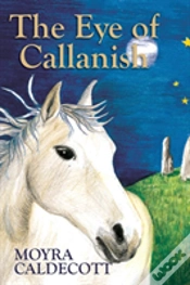 Capa do artigo The Eye Of Callanish