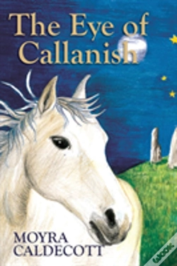 Capa do artigo The Eye Of Callanish