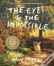 Capa do artigo The Eyes And The Impossible