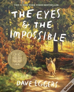 Capa do artigo The Eyes And The Impossible