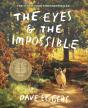 The Eyes And The Impossible - Preview