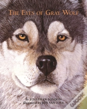 Capa do artigo The Eyes Of Gray Wolf