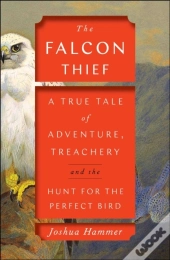 The Falcon Thief