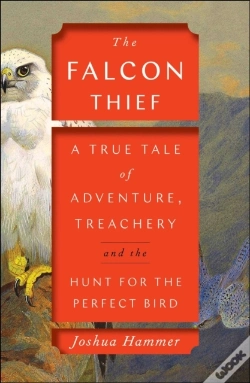 Capa do artigo The Falcon Thief