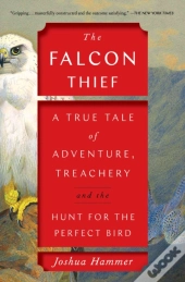 The Falcon Thief