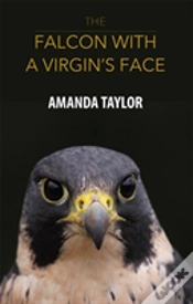 Capa do artigo The Falcon With A Virgin