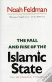 Capa do artigo The Fall And Rise Of The Islamic State