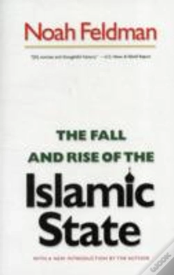 Capa do artigo The Fall And Rise Of The Islamic State