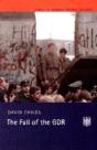 The Fall Of The Gdr - Preview