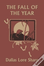 Capa do artigo The Fall Of The Year