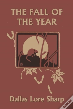 Capa do artigo The Fall Of The Year