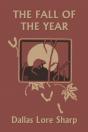 The Fall Of The Year - Preview