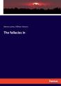 The Fallacies In - Preview