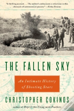Capa do artigo The Fallen Sky