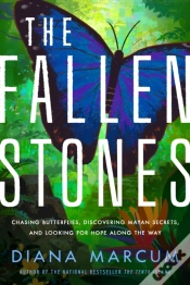 Capa do artigo The Fallen Stones