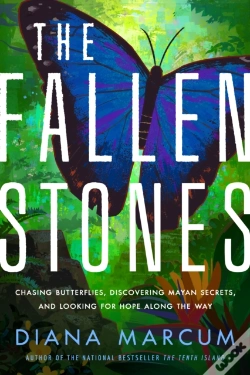 Capa do artigo The Fallen Stones