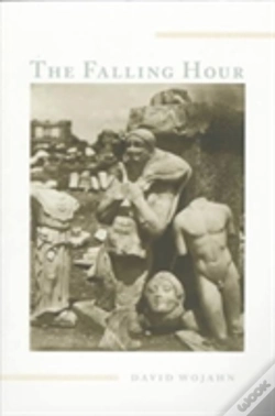 Capa do artigo The Falling Hour