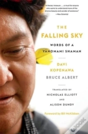 Capa do artigo The Falling Sky