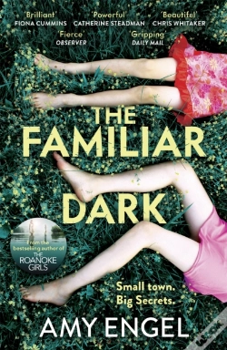 Capa do artigo The Familiar Dark