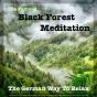 The Famous Black Forest Meditation - Guided Mindfulness Meditation Program For Spiritual & Physical Wellness - Preview