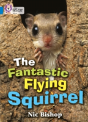 The Fantastic Flying Squirrel - Preview