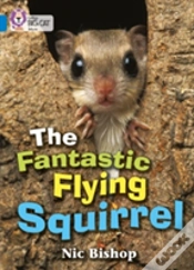 Capa do artigo The Fantastic Flying Squirrel