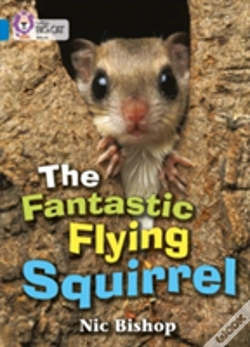Capa do artigo The Fantastic Flying Squirrel