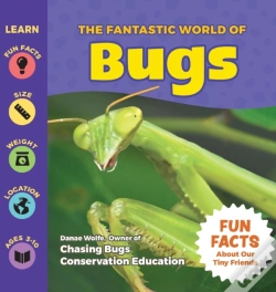 Capa do artigo The Fantastic World Of Bugs