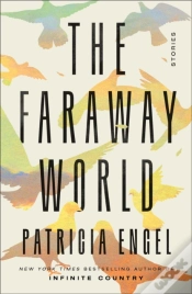 Capa do artigo The Faraway World