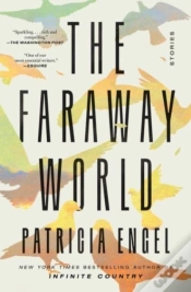 Capa do artigo The Faraway World