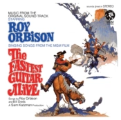 Capa do artigo The Fastest Guitar Alive - Vinil