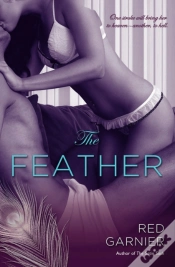 Capa do artigo The Feather