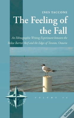 Capa do artigo The Feeling Of The Fall