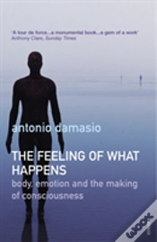Capa do artigo The Feeling Of What Happens
