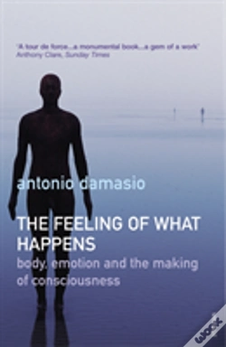 Capa do artigo The Feeling Of What Happens