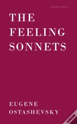 Capa do artigo The Feeling Sonnets