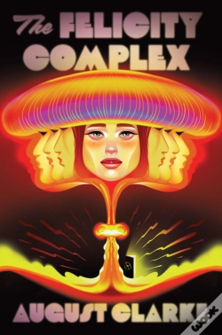 Capa do artigo The Felicity Complex