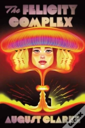 Capa do artigo The Felicity Complex