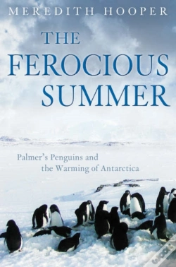 Capa do artigo The Ferocious Summer