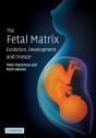The Fetal Matrix: Evolution, Development And Disease - Preview