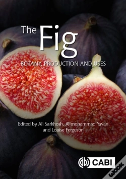 Capa do artigo The Fig
