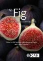 The Fig - Preview