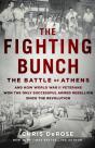 The Fighting Bunch - Preview